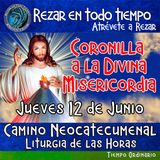 CORONILLA A LA DIVINA MISERICORDIA DE HOY. JUEVES 12 DE JUNIO 2025. 🙏 REZAR EN TODO TIEMPO. 