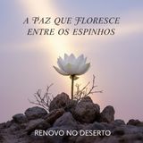 Quando Concluir a Paz é um Desafio: Sobrevivendo a Relações Difíceis no Deserto