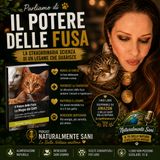 Il potere delle fusa dei gatti