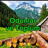 Odunlar ve Toplum.mp3
