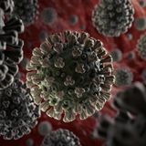 Hay en el mundo tres millones 402 mil 409 casos de contagios por coronavirus