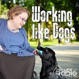 PetLifeRadio.com - Working Like Dogs - Episode 42 Oprah’s Ultimate Favorite Things and Paws and Stripes!