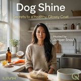 Dog Shine - Feed the Fur: Nutrition That Glows From the Inside Out