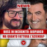 Boss In Incognito, Da Dirigente A Dipendente: Ma Quanto Fattura L'Azienda?