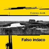 Federico Anelli con Falso Indaco (Todaro Editore) su Rvl La Radio per Un libro alla Radio