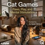 Cat Games - Screens, Sounds, and Sensory Wonderlands: High-Tech and Low-Tech Stimulation