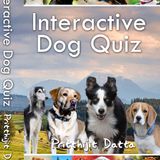 Interactive Dog Quiz