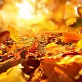 Equinozio di primavera e di autunno: significato e caratteristiche
