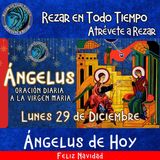 Angelus del día de hoy Lunes 29 de Diciembre 2025  🌹Oracion diaria a la Virgen María 🙏