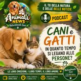 Cani e gatti. In quanto tempo si legano alle persone?