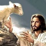 Sul divorzio erano i farisei a decidere caso per caso