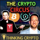 Crypto Circus Continues - Tesla & Elon Musk Holding Bitcoin & Dave Portnoy Shills Safemoon