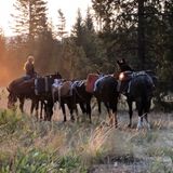Book Your Wyoming Mountain Lion Hunt Today!