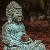 Neurodharma: Nueva ciencia, antigua sabiduría