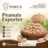 How to Choose a Trusted Peanuts Exporter in India