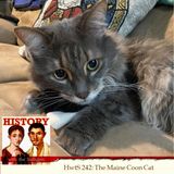 HwtS 242: The Maine Coon Cat