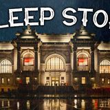 A Rainy Night at The Met_ A Cozy Sleep Story through Time and Art