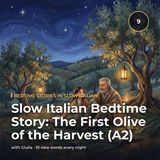Slow Italian Bedtime Story: The First Olive of the Harvest (A2)