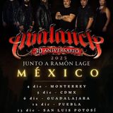 apetamos para festivales pero en conciertos somos DIOSES