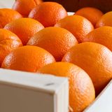 Más control a la importación de naranjas de Egipto