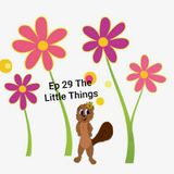 Ep 29 The Little Things
