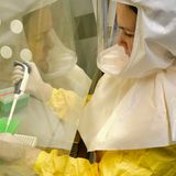 El impacto de la pandemia para los futuros biologos.