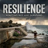 Resilience - Rise from the ashes with Maverick "Mav" Ryder