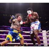 Wilder vs Ruiz Next? Preview #ShieldsMarshall  #MayerBaumgardner #PaulSilva