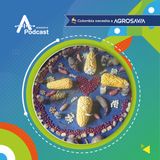 Semillas nativas y criollas