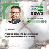 Conab compra mais de 190 mil toneladas de milho