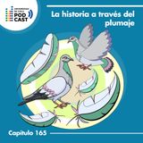 La historia a través del plumaje