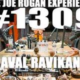 Joe Rogan Experience _1309 - Naval Ravikant