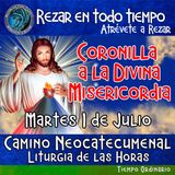 CORONILLA A LA DIVINA MISERICORDIA DE HOY.  MARTES 1 DE JULIO 2025. 🙏 REZAR EN TODO TIEMPO. 