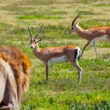 WATCH AGAINST PRIDE AND ANXIETY (Episode 588 - Preachify Daily Devotional)