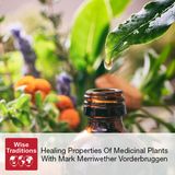 334: Healing Properties Of Medicinal Plants