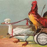 The Pack of Ragamuffins | Brothers Grimm Stories