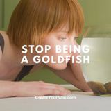 3730 Stop Being A Goldfish