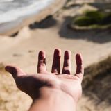 Reaching For The Ocean