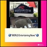 Episode 249- TopEntNews Vlog “World Entertaining News”
