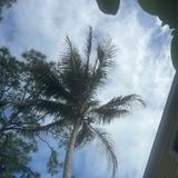 Standing in Victory! - SPIRITWARS FRONTLINES