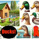 Ducks!  Quacking Companions: A Guide to Raising Your Feathered Friends