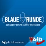 SPD, CDU, Grüne: 4 1/2 Jahre versagt! | Die Blaue Runde, Ausgabe 25/24 vom 17.04.2024