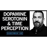 Time Perception & Entrainment by Dopamine, Serotonin & Hormones