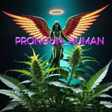PRONOUN_HUMAN #51 (NOSTALGIA, MORMON TESTIMONY CONSPIRACY & JINGLE MASTER