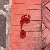 sounds/piedi nudi