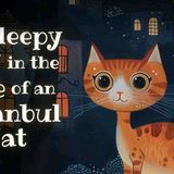 😺A Sleepy Day in the Life of an Istanbul Cat😺A Cute Sleepy Story _ Bedtime Story for Grown Ups