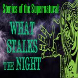 What Stalks the Night | Interview with Jason Offutt | Podcast