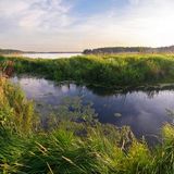Uno studio ha quantificato il sequestro di carbonio nelle zone umide