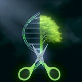 Triumph Over Time: Gene Editing Rewrites Fate for HGPS Kids