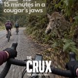 15 Minutes in a Cougar's Jaws | E 264